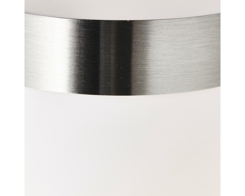 Buitenwandlamp, 1-lichts, roestvrij staal/wit