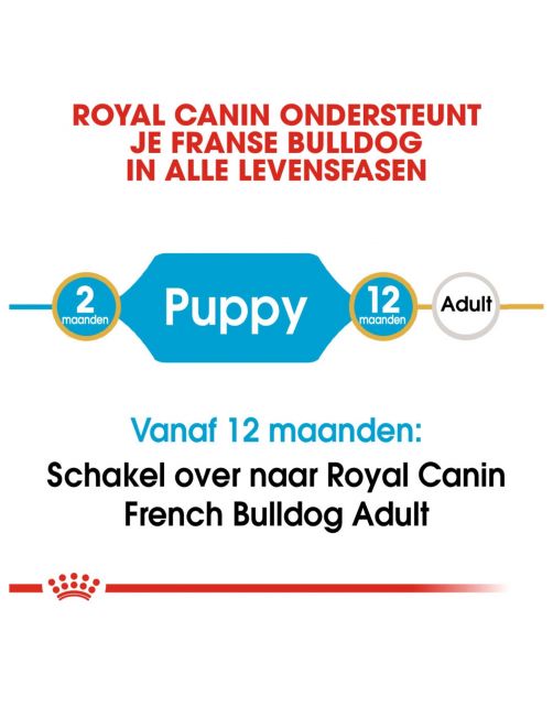 Royal Canin French Bulldog - Puppy-Hondenvoer
