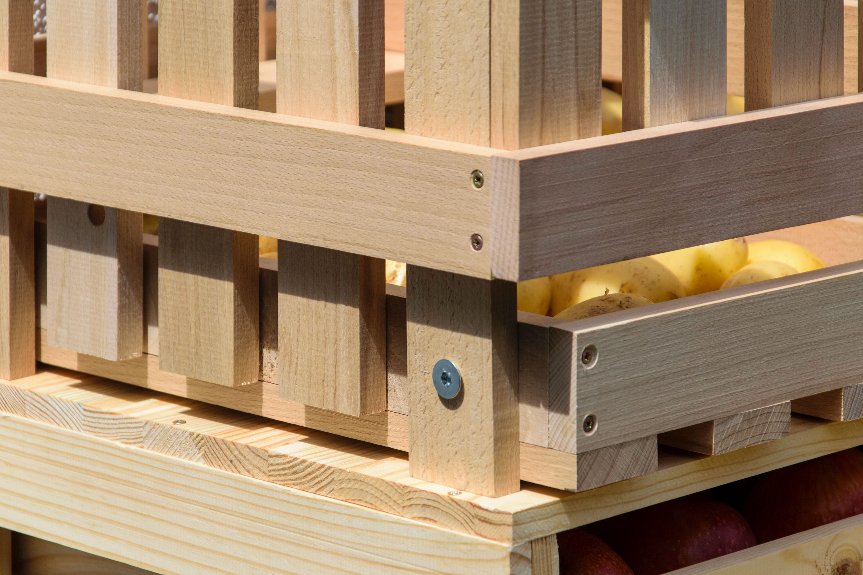 dobar Vorratsbehälter aus Holz - versch. Ausführungen