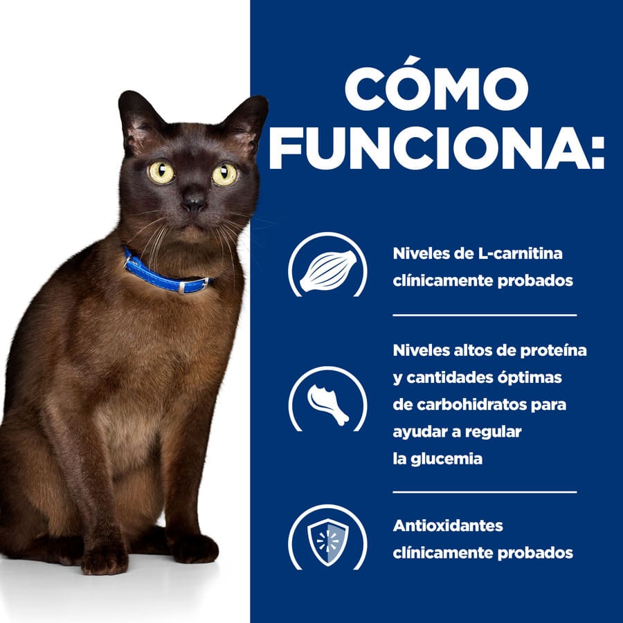 Hill's Prescription Diet Diabetes Care lata para gatos