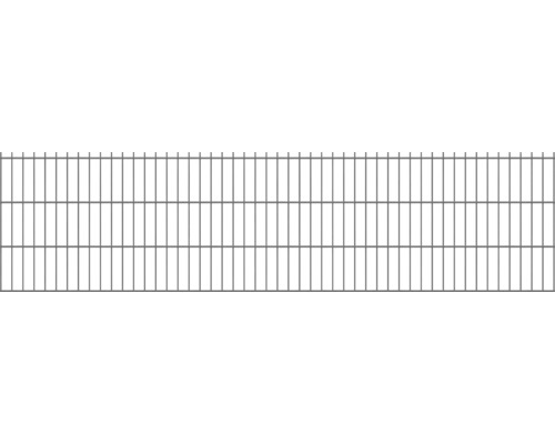 Dubbele staafmat 8/6/8 251 x 63 cm RAL 7016 antraciet