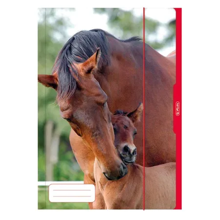 Herlitz Sammelmappe A3 Tiere Motive sortiert