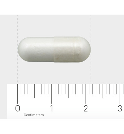 AOV 604 L-Carnosine (60 vega capsules)