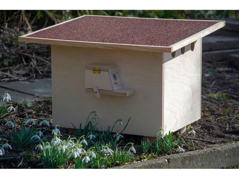 LUXUS-INSEKTENHOTELS Hummelnistkasten, 51 x 43 x 36 cm, Kie Grosser Hummelnistkasten mit wasserdichtem Bitumendach und Füllmaterial