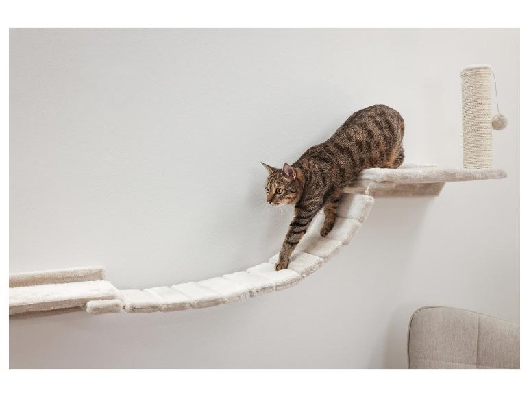 Katten klimmuur