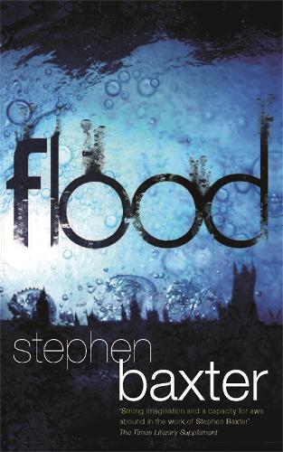 Flood (Paperback)