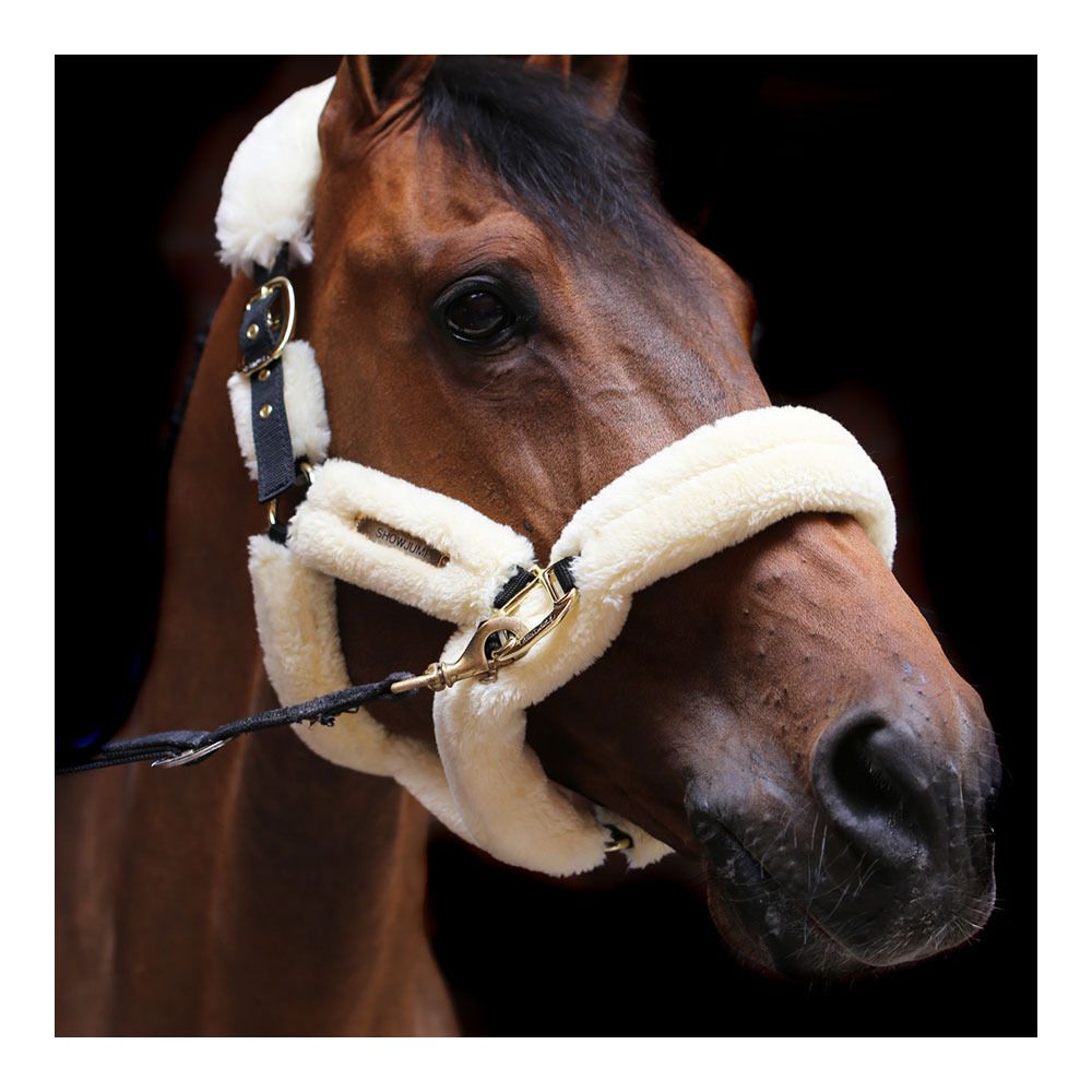 Kentucky TRANSPORT - Licol naturel