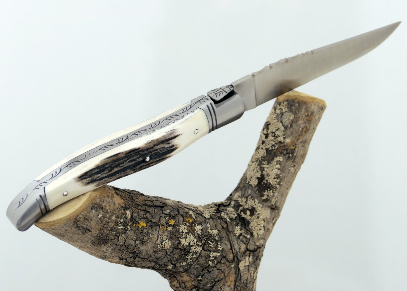Couteau Laguiole avec un manche en bois de cerf et 2 mitres en acier inoxydable