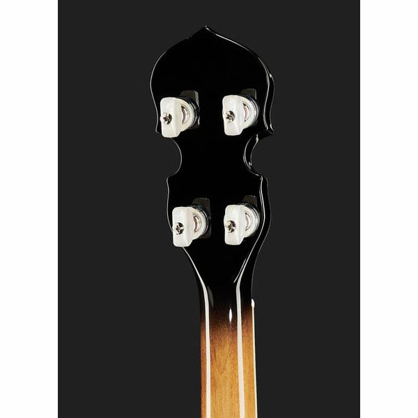 Gold Tone IT-250-F Irish Tenor Banjo w/C