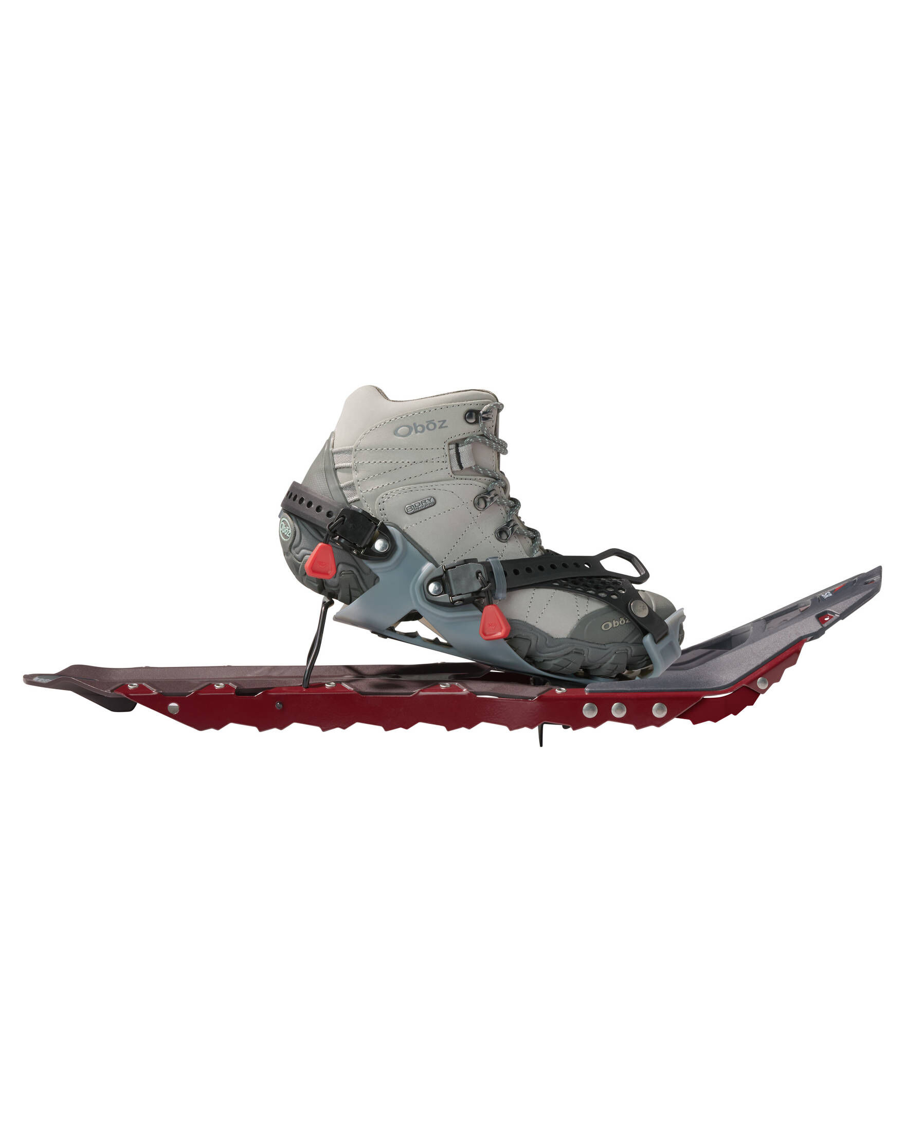 MSR| Damen Schneeschuhe REVO TRAIL