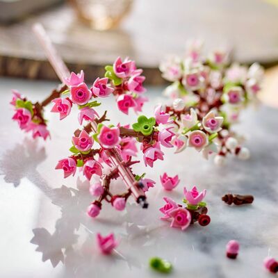 LEGO Iconic 40725 Kirsebærblomster