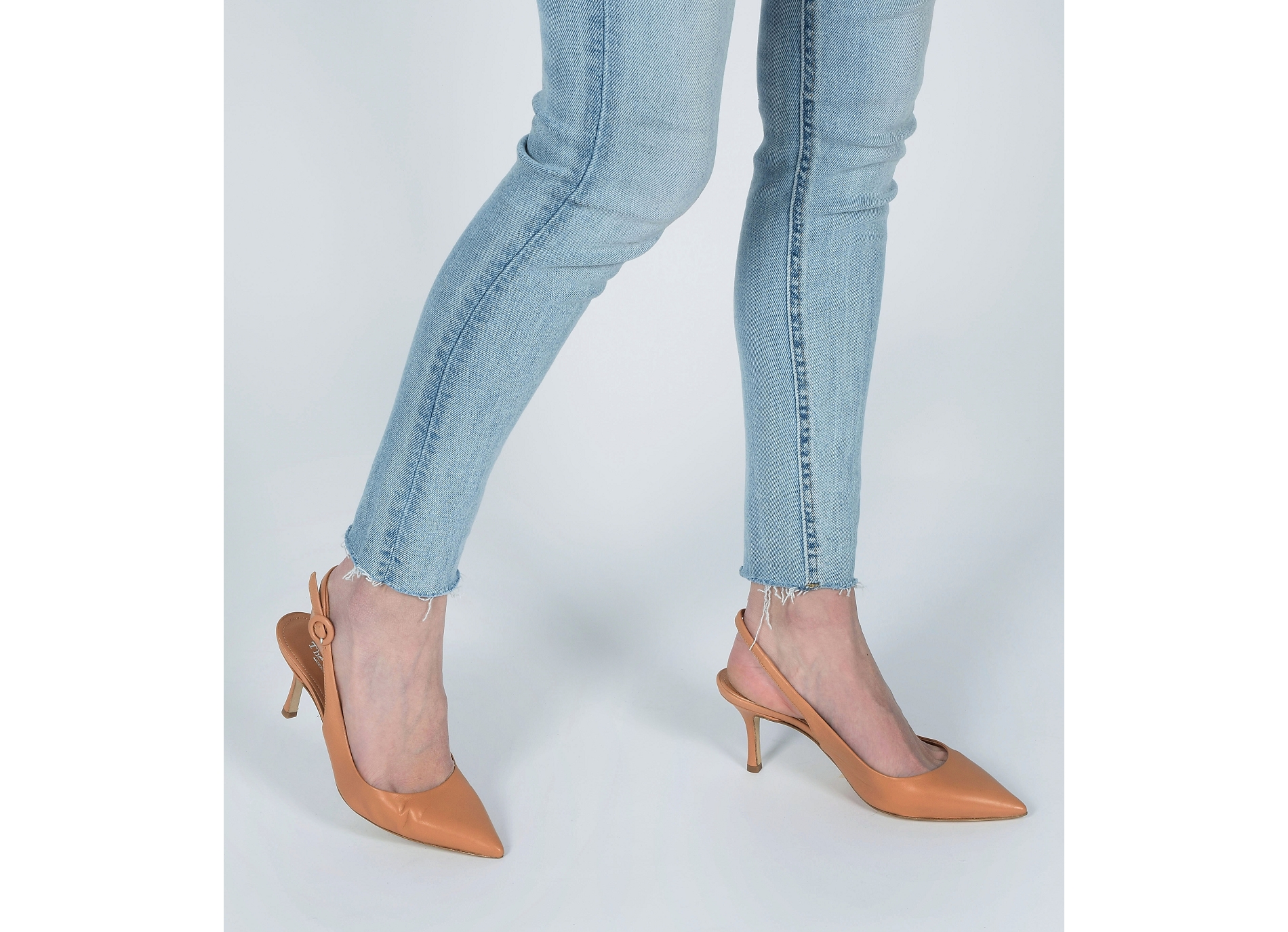 S8076 camel