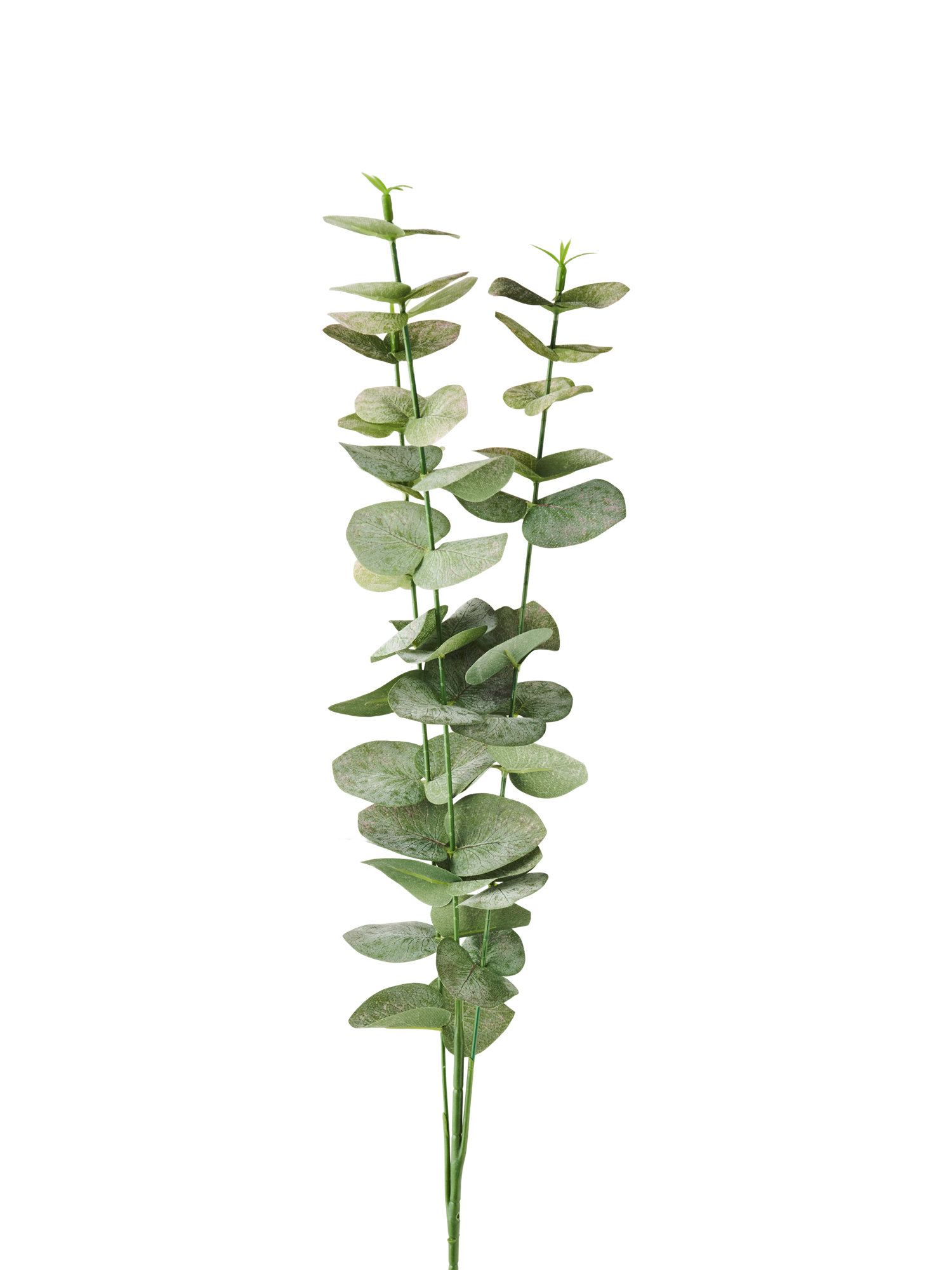 Kunstig eukalyptusgren | 62 cm.  | Green