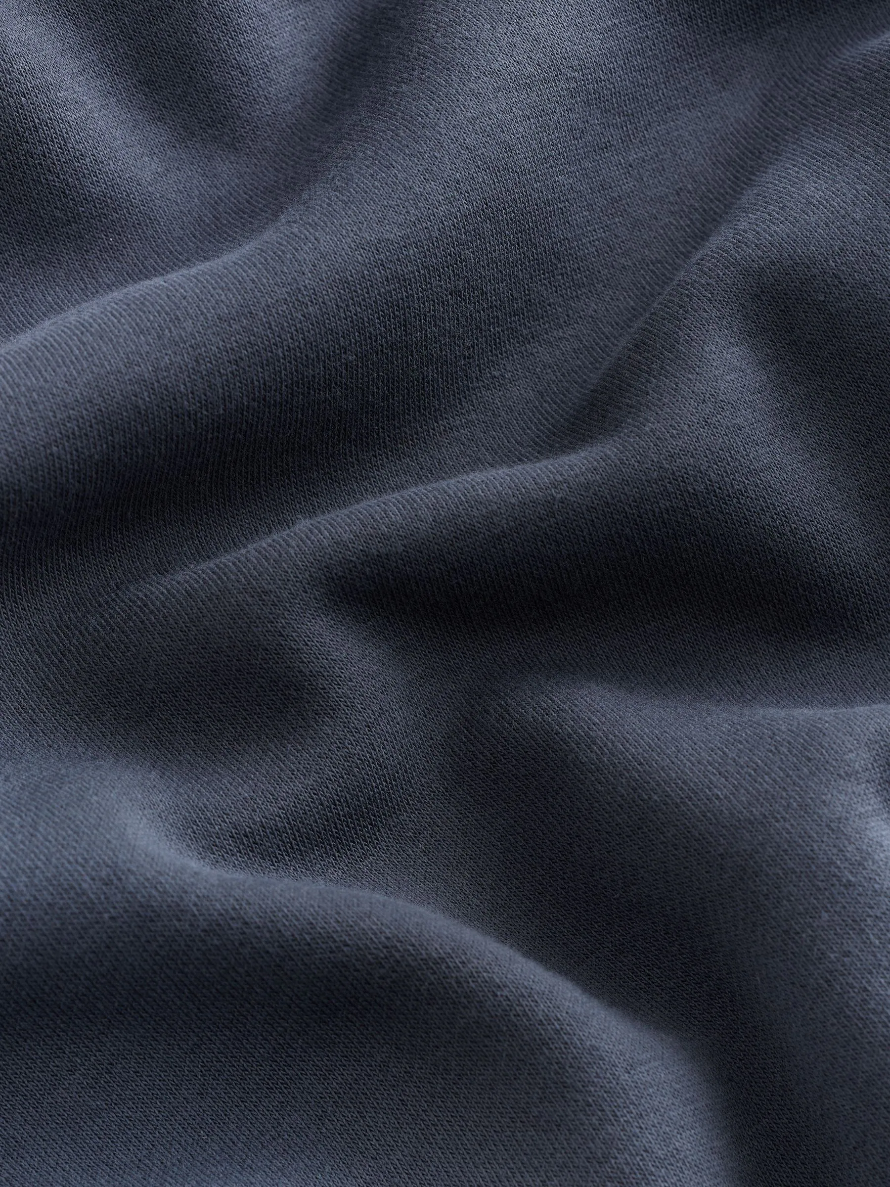 Staalblauw - Normale Pasvorm - Zwaargewicht Cotton Rich Jersey Hoodie