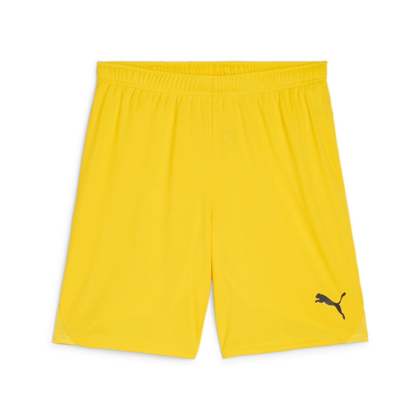 PUMA teamGOAL Matchday Voetbaltenue Geel Zwart