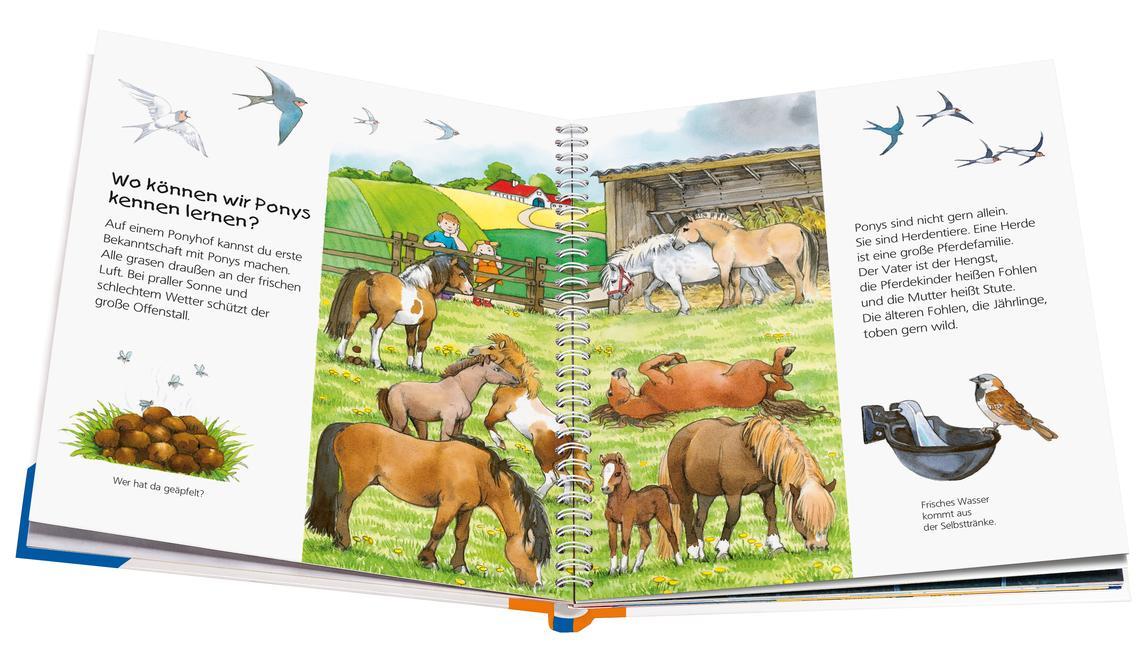 Das Pony / Wieso? Weshalb? Warum? Junior Bd.20