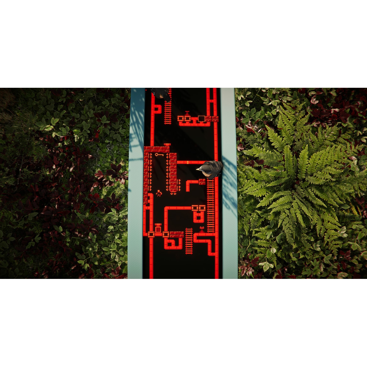 The Forest Cathedral - PC Windows