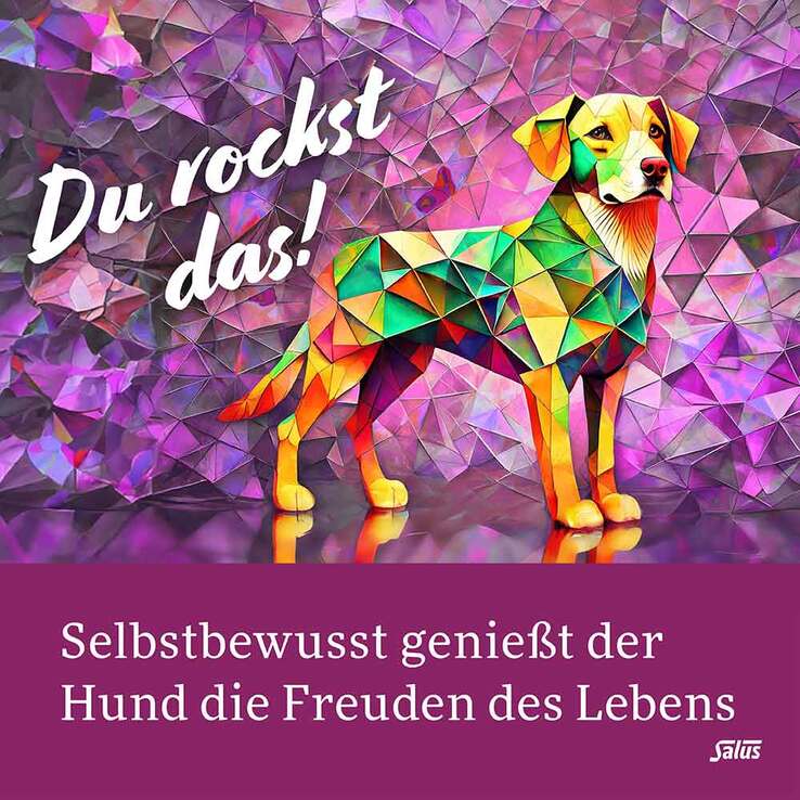 Krafttier Tee Cooler Hund Bio Salus Filterbeutel, 15 St