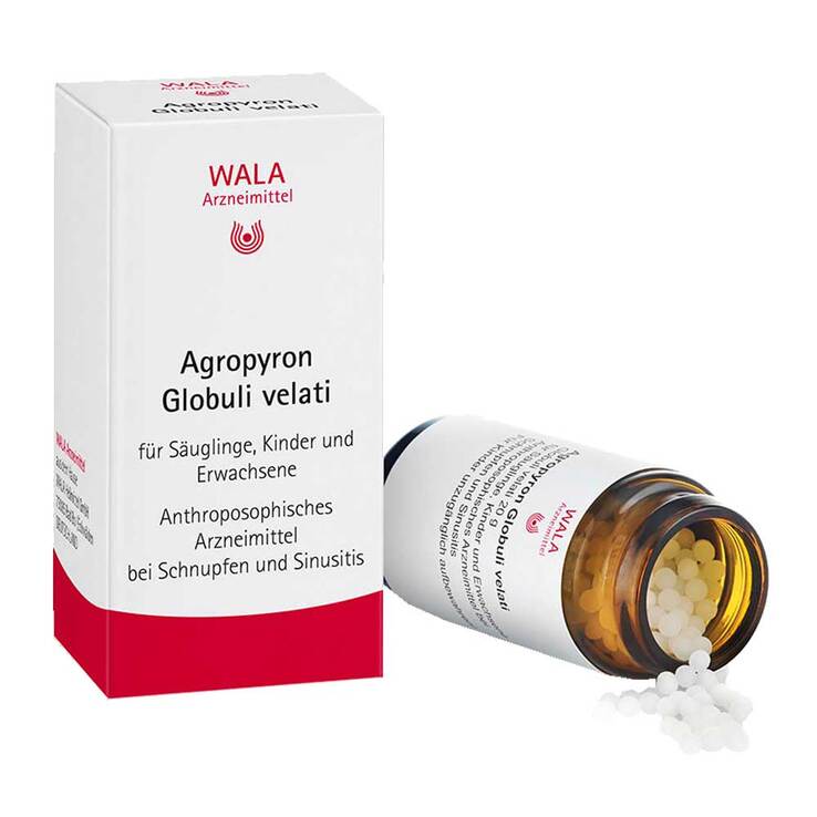 Agropyron Globuli Velati, 20 g
