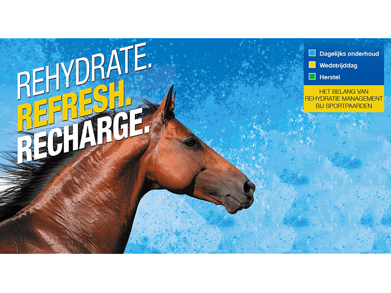 Recharge Virbac Paard 1 liter