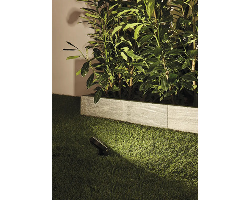 Paulmann Plug & Shine LED grondpen starterset IP67 dimbaar 3x6,4W 270 lm 3000K Sting antraciet 230/24V 3 stuks