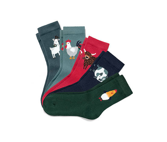 5 Kinder-Socken, Tier