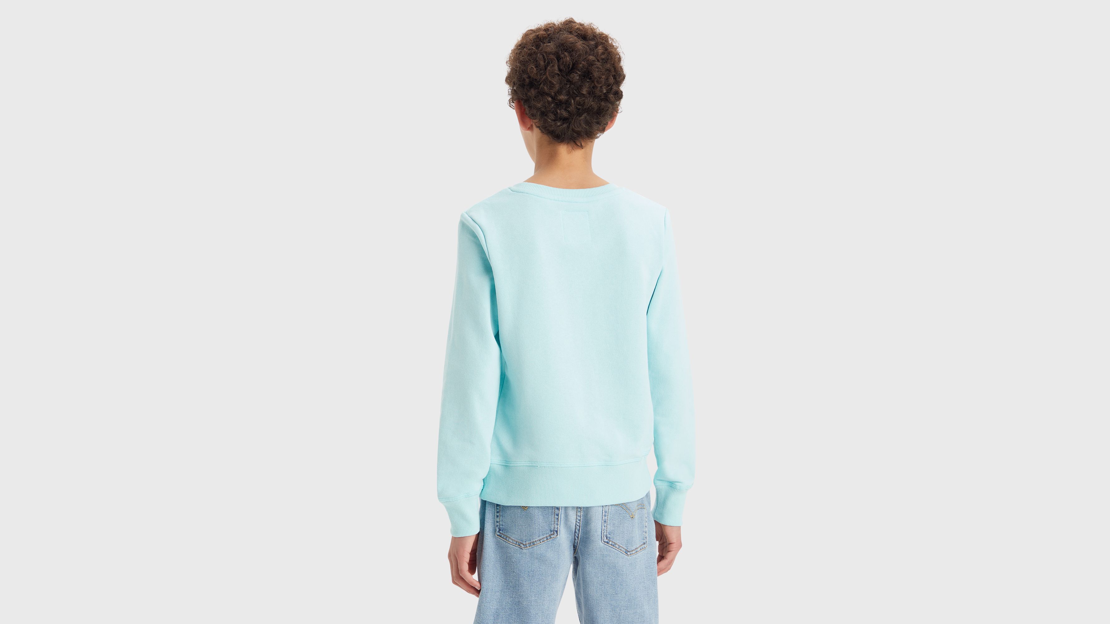 Sweat jersey French Terry Batwing - Pastel Turquoise - Vert