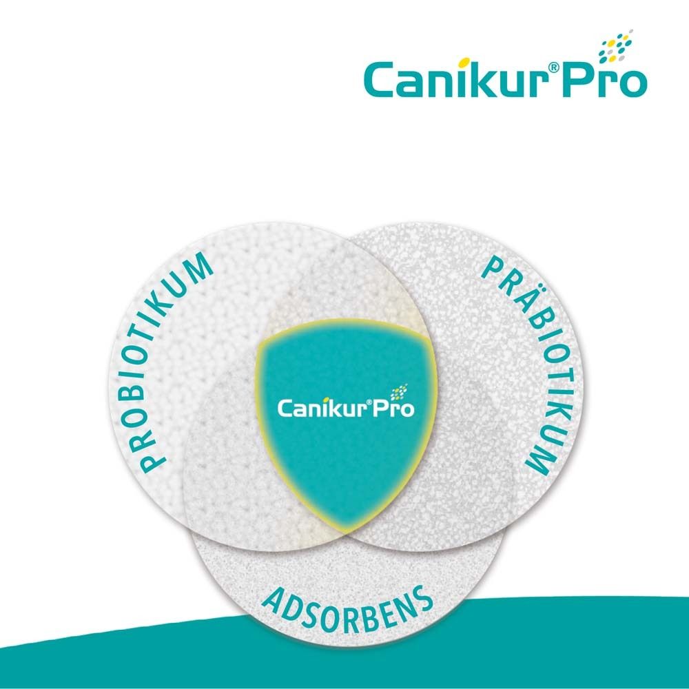 Canikur®Pro – zur Unterstützung der natürlichen Darmflora – Diät-Ergänzungsfuttermittel für Hunde und Katzen
