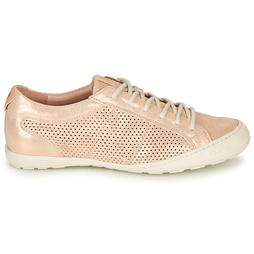 Palladium - GRACIEUSE ALX - Rose