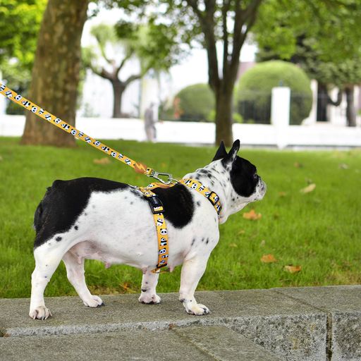 Guia para cães Snooze em poliéster, várias cores