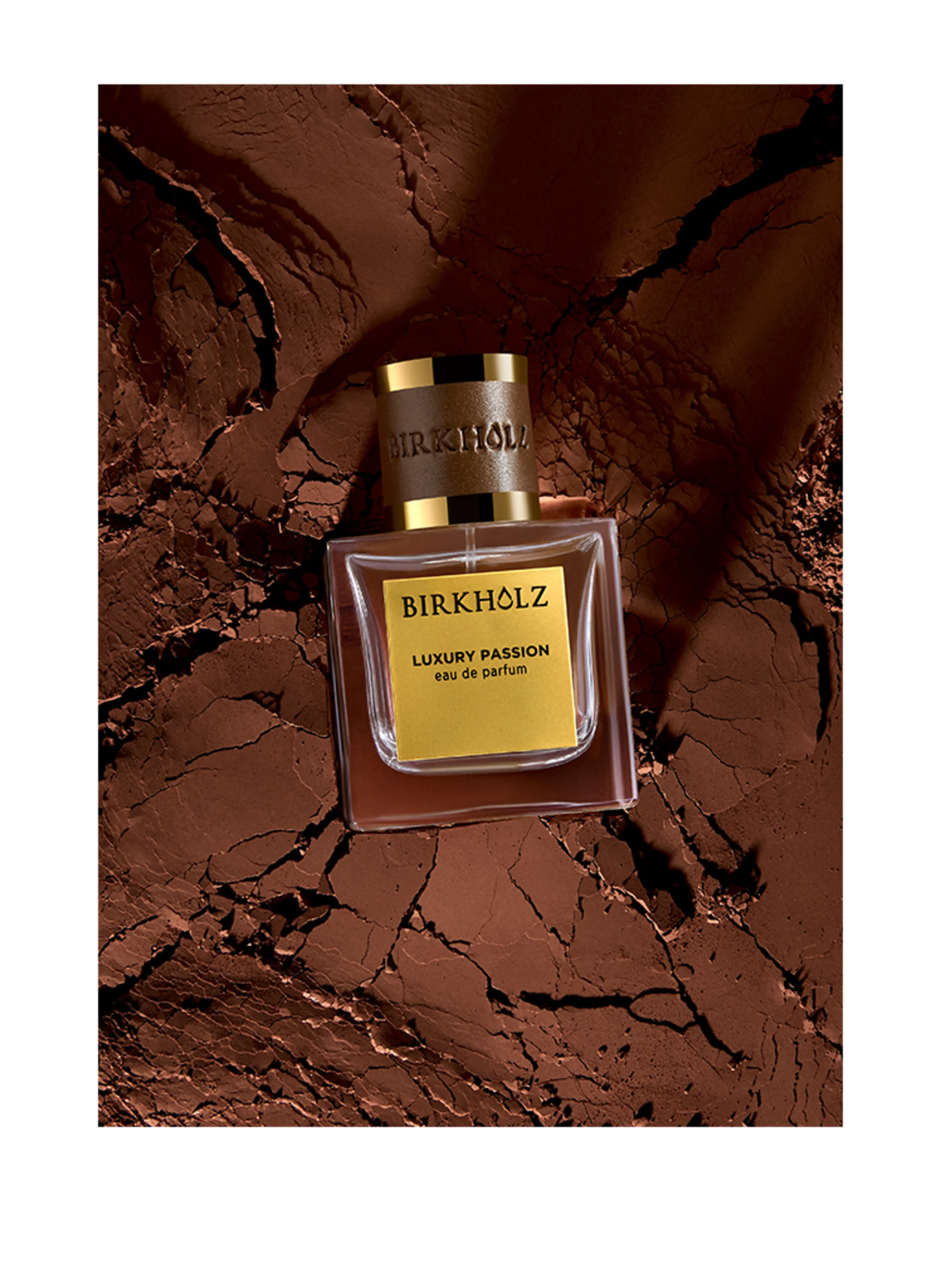 BIRKHOLZ LUXURY PASSION