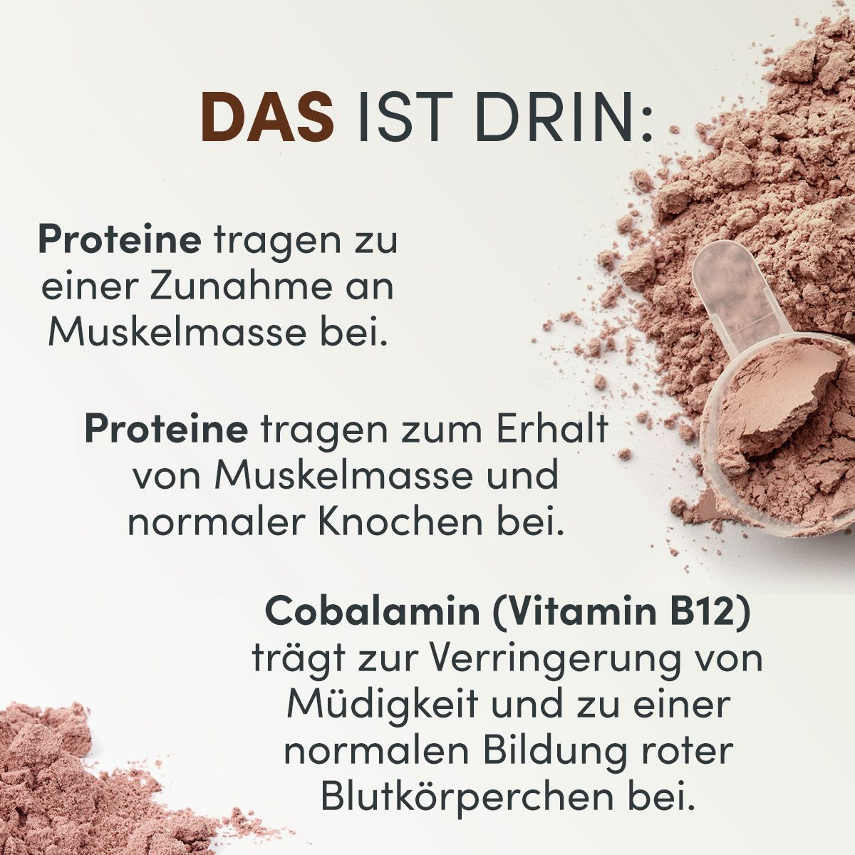 Veganes 3K Protein | Chocolate Power | Proteinshake | Shape Republic