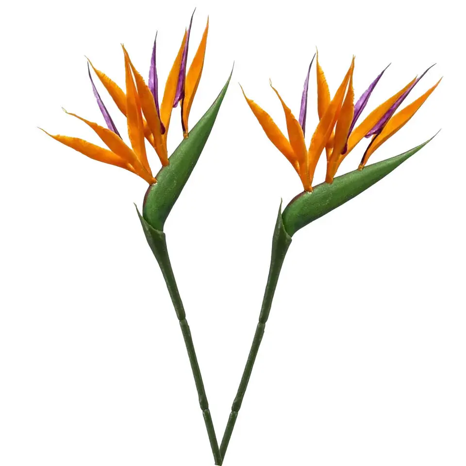 Emerald Kunstbloem Strelitzia - 65 cm - tak - Paradijsvogelplant