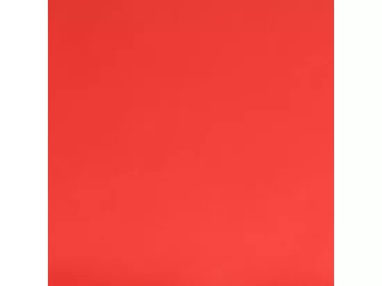 Repose-pied Rouge 60x60x36 cm Similicuir
