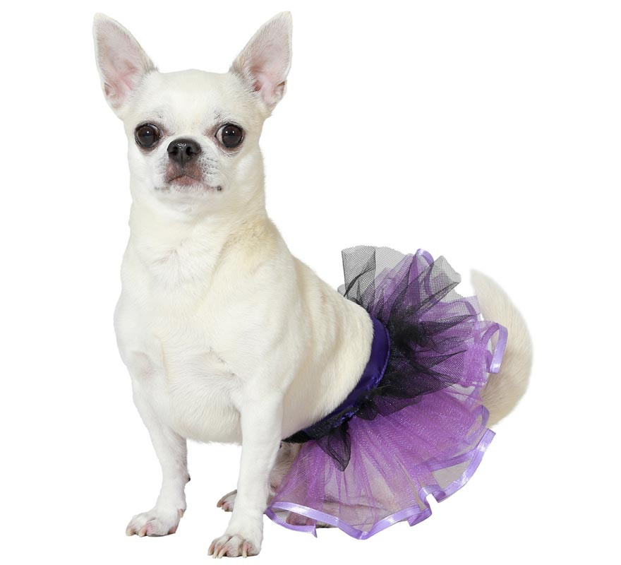 Fantasia de tutu roxo Atosa para cães