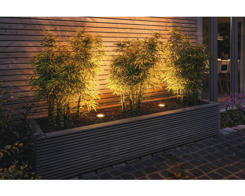 Paulmann Plug & Shine LED inbouw vloerlamp basisset, insectenwerend, 3 x 4,5W, 180 lm, 2200 K, antraciet, 230/24 V