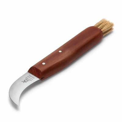 Pilzpflückmesser Pflaumenholz