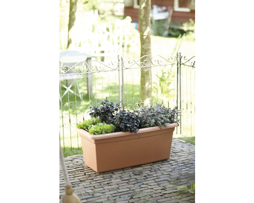 elho Green Basics XXL plantenbak, kunststof, 60x30x28 cm, terracotta