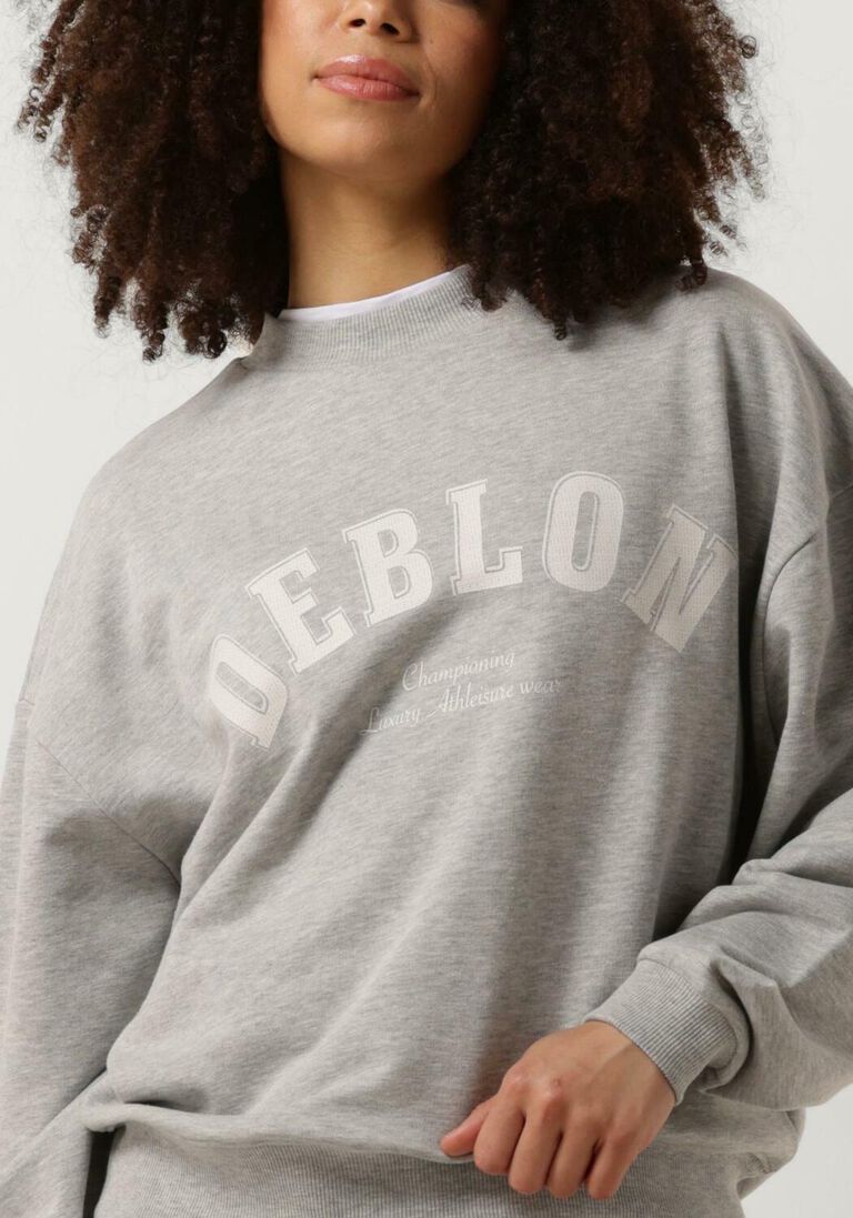 DEBLON SPORTS grijze deblon sports sweater cia sweater