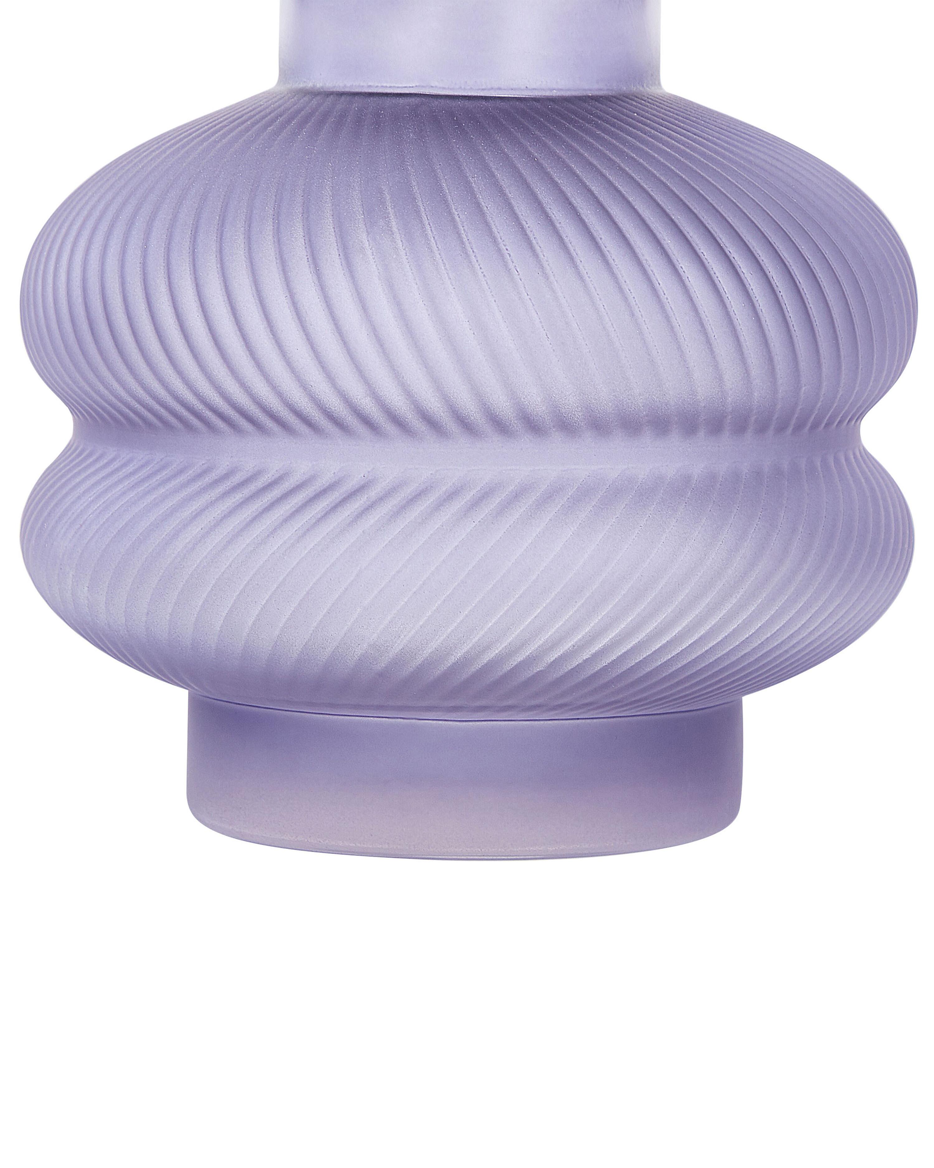 Bloemenvaas RODIA Glas 24 cm Paars