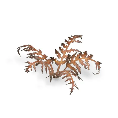 Gamer Grass Basis Gestaltung Pflanzen Dry Bracken Farn, 26er Packung
