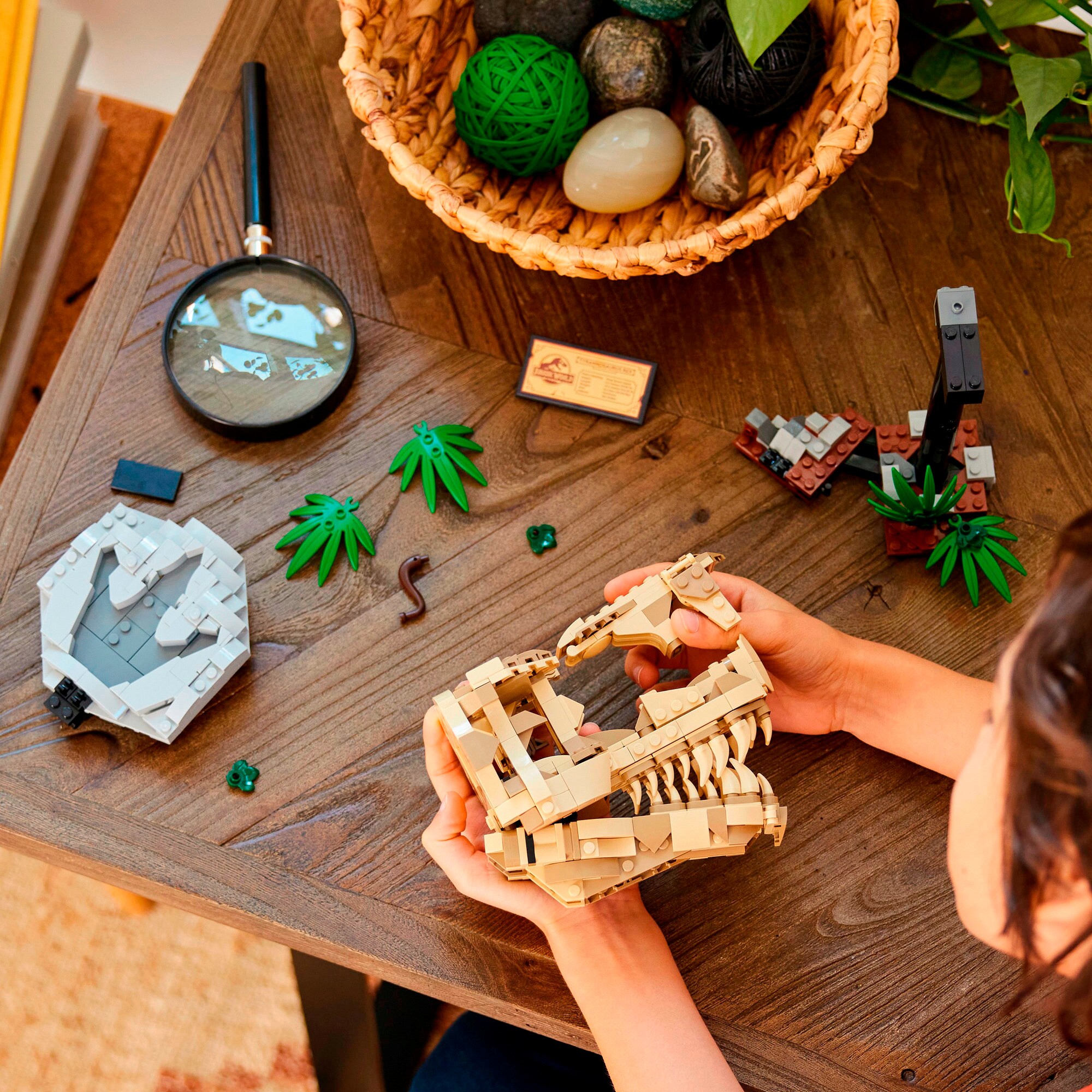 LEGO Konstruktionsspielzeug Jurassic World Dinosaurier-Fossilien: T.-Rex-Kopf