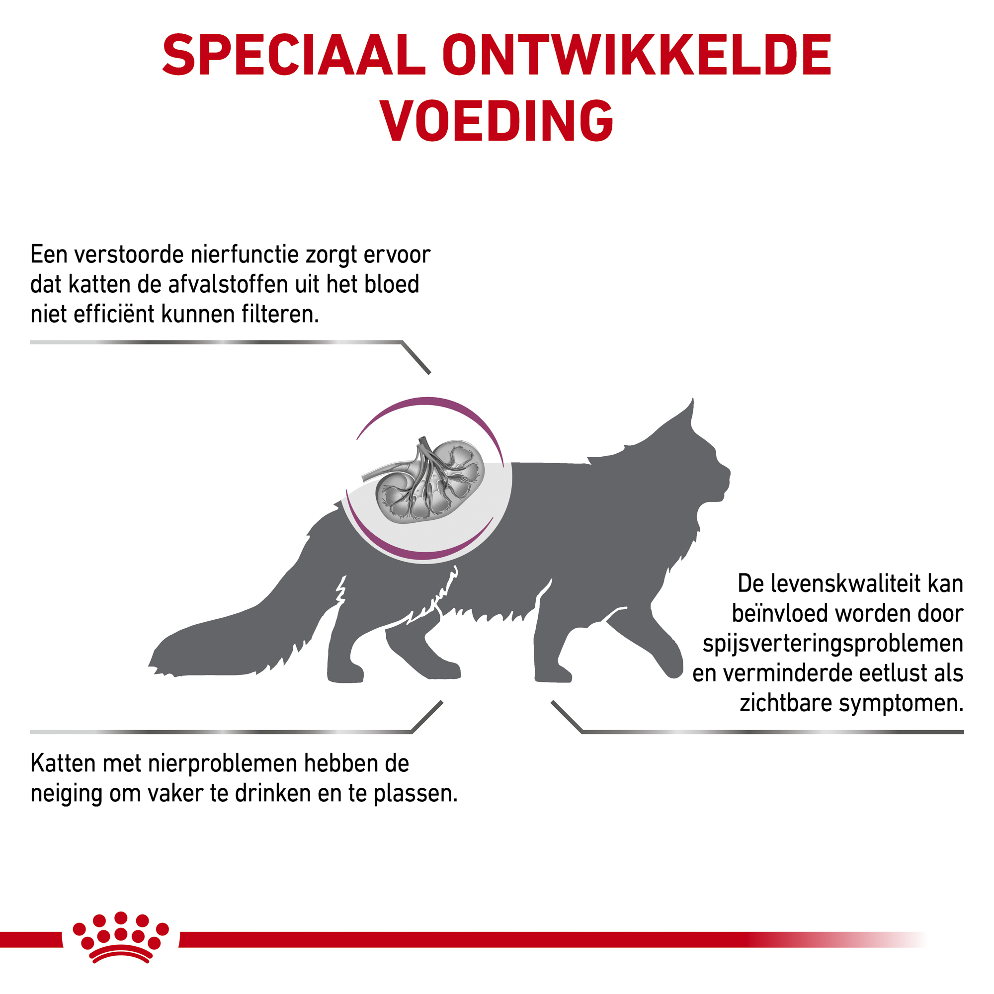 Royal Canin Renal Select Kat
