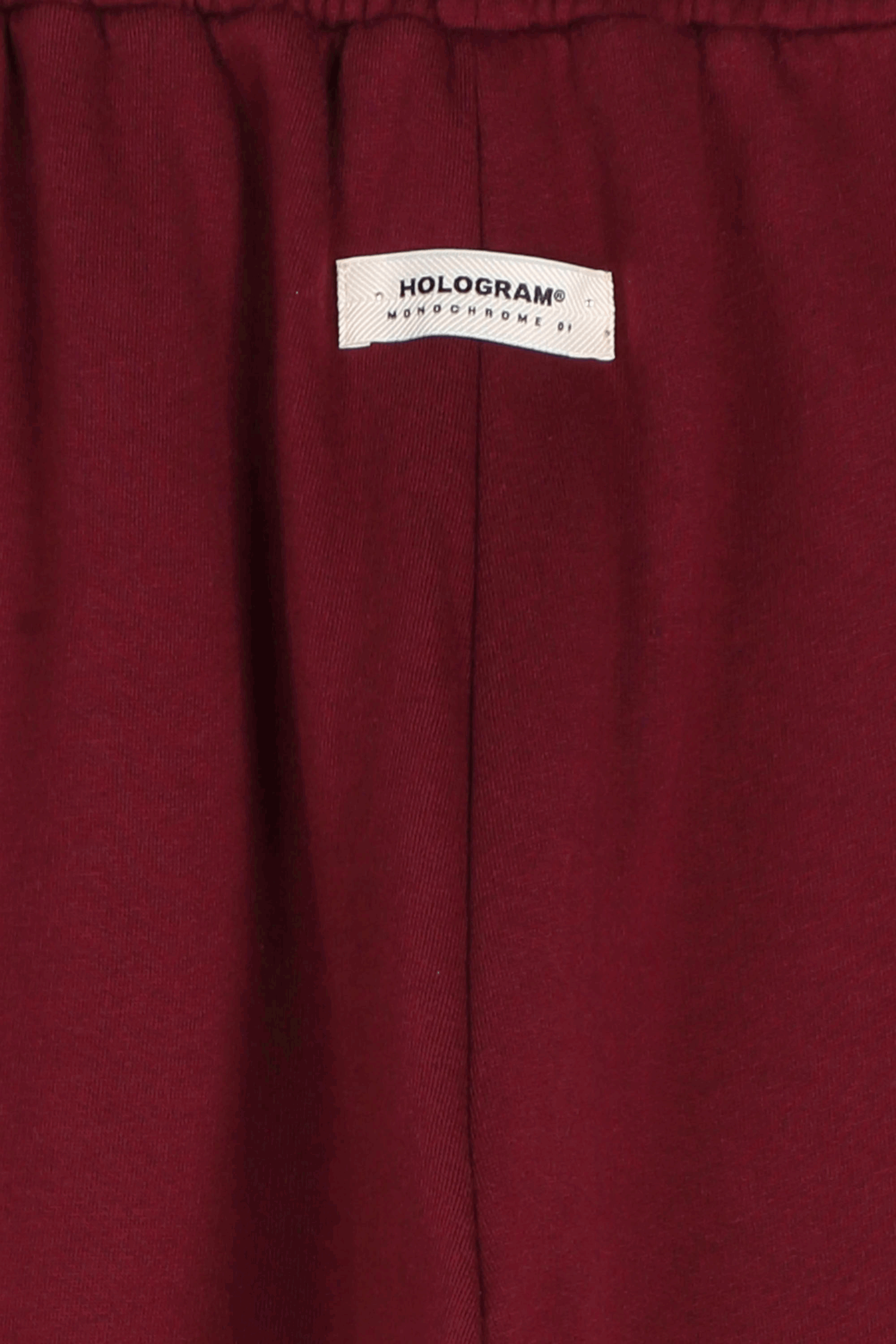Hologram Jogging  Pant Monochrome Rouge