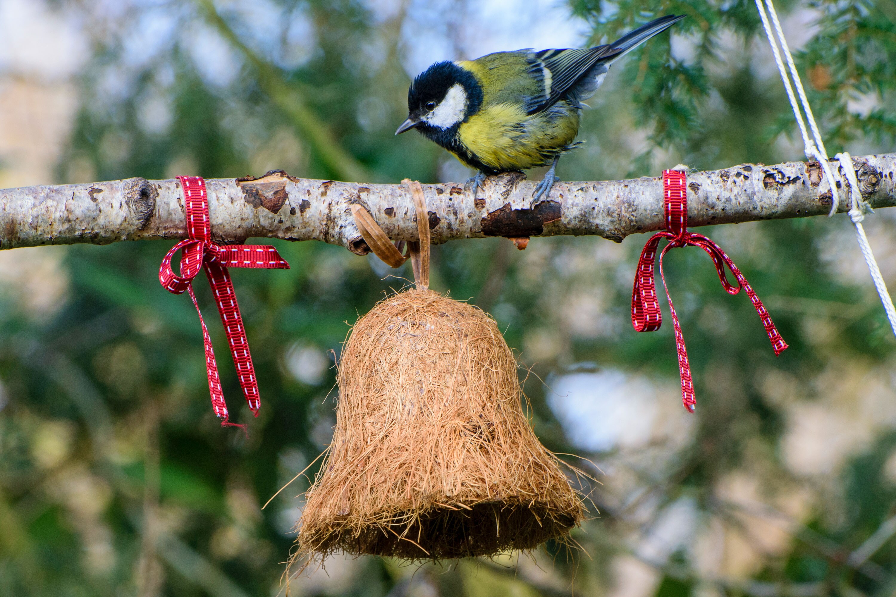 dobar Vogelfuttermix - versch. Varianten