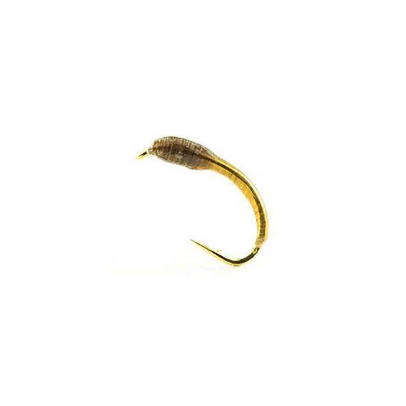 Mouche Devaux Chiro Lch10