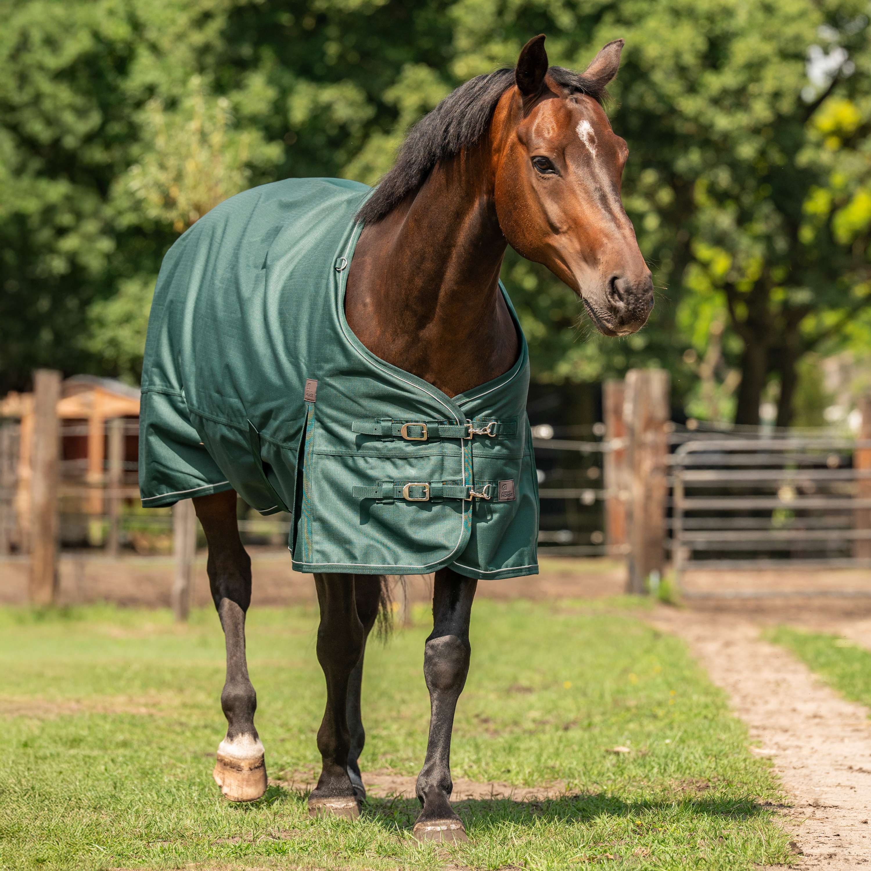 Agradi Horse Outdoordeken 1200D 300gr Reflecterende Bies Groen