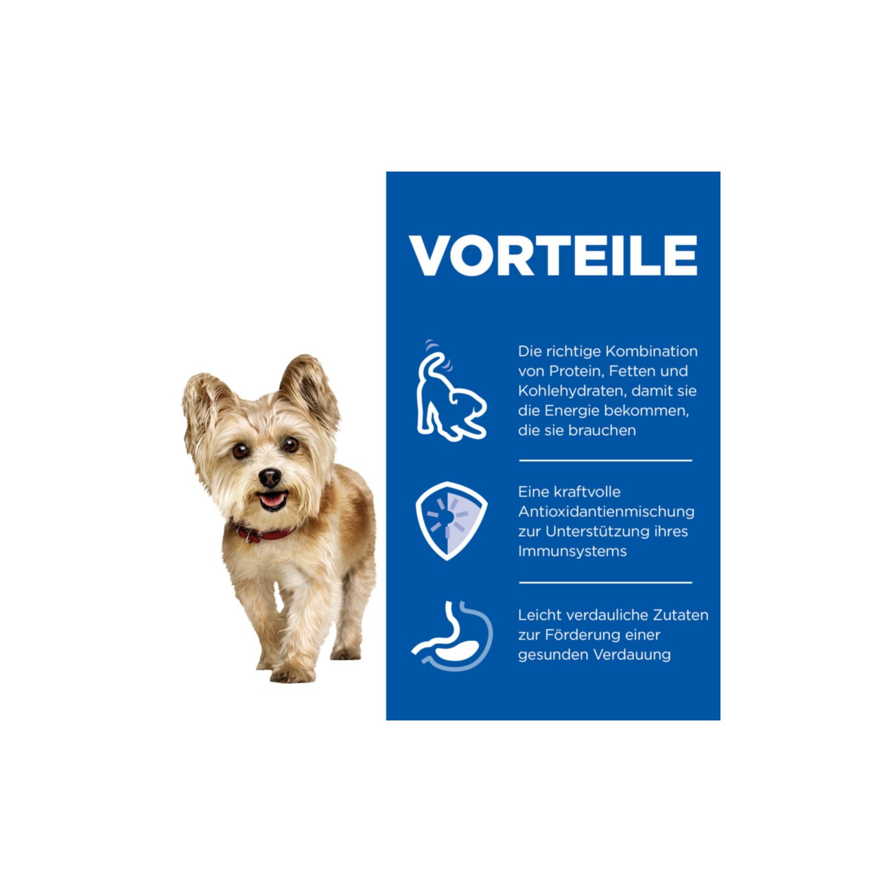 Hill's Science Plan 7+ Small & Mini mit Huhn, Mousse 12x200 g