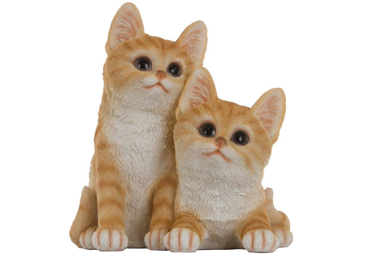 Katzenkinder - orange-weiß - 19 cm