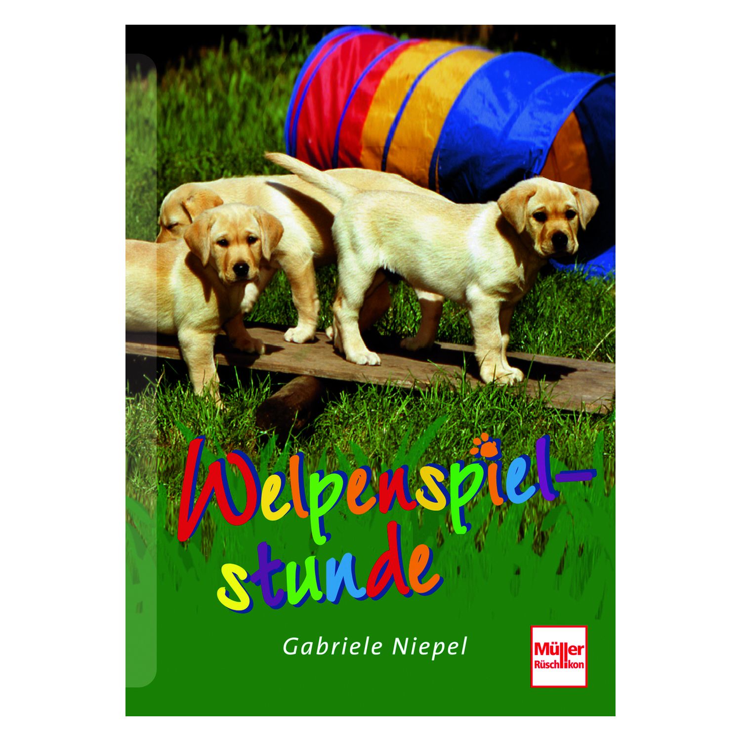 Welpenspielstunde